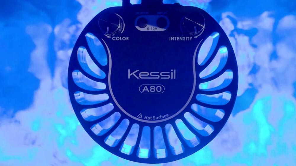 Kessil a80 Review